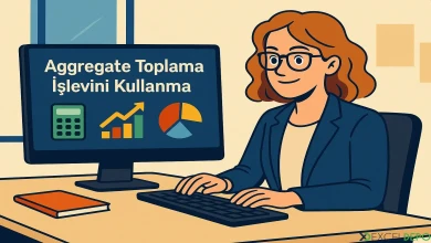 Aggregate Toplama İşlevini Kullanma