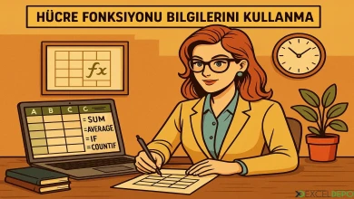 Hücre Fonksiyonu Bilgilerini Kullanma