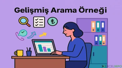 Gelişmiş Arama Örneği