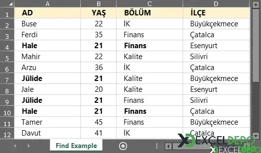 UserForm Üzerinden Kriter Bazlı Gelişmiş Bulma