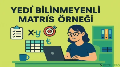 Yedi Bilinmeyenli Matris Örneği